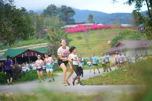 BIB: 
                            <button type="button" onclick="openModal(19213840)" class="btn btn-primary btn-sm float-right btn-popup" data-toggle="modal" data-target=".modal-high-quality">
                        <i class="fas fa-shopping-cart"></i> Add to Cart
                    </button>
                                            <button type="button" onclick="isThisMe(19213840, true)" class="btn btn-success btn-sm float-right btn-popup btn-isme hidden" data-toggle="tooltip" data-placement="bottom" title="นี่คือรูปของคุณใช่ไหม คลิกที่นี่เพื่อเอาเข้าอัลบั้ม">
                        <i class="fas fa-plus"></i> Add to album
                    </button>
                    <button type="button" onclick="isThisMe(19213840, false)" class="btn btn-warning btn-sm float-right btn-popup btn-isnotme hidden">
                        <i class="fas fa-ban"></i> Remove from album
                    </button>